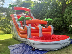 15 Ft Tropical Fire Water Slide with Pool